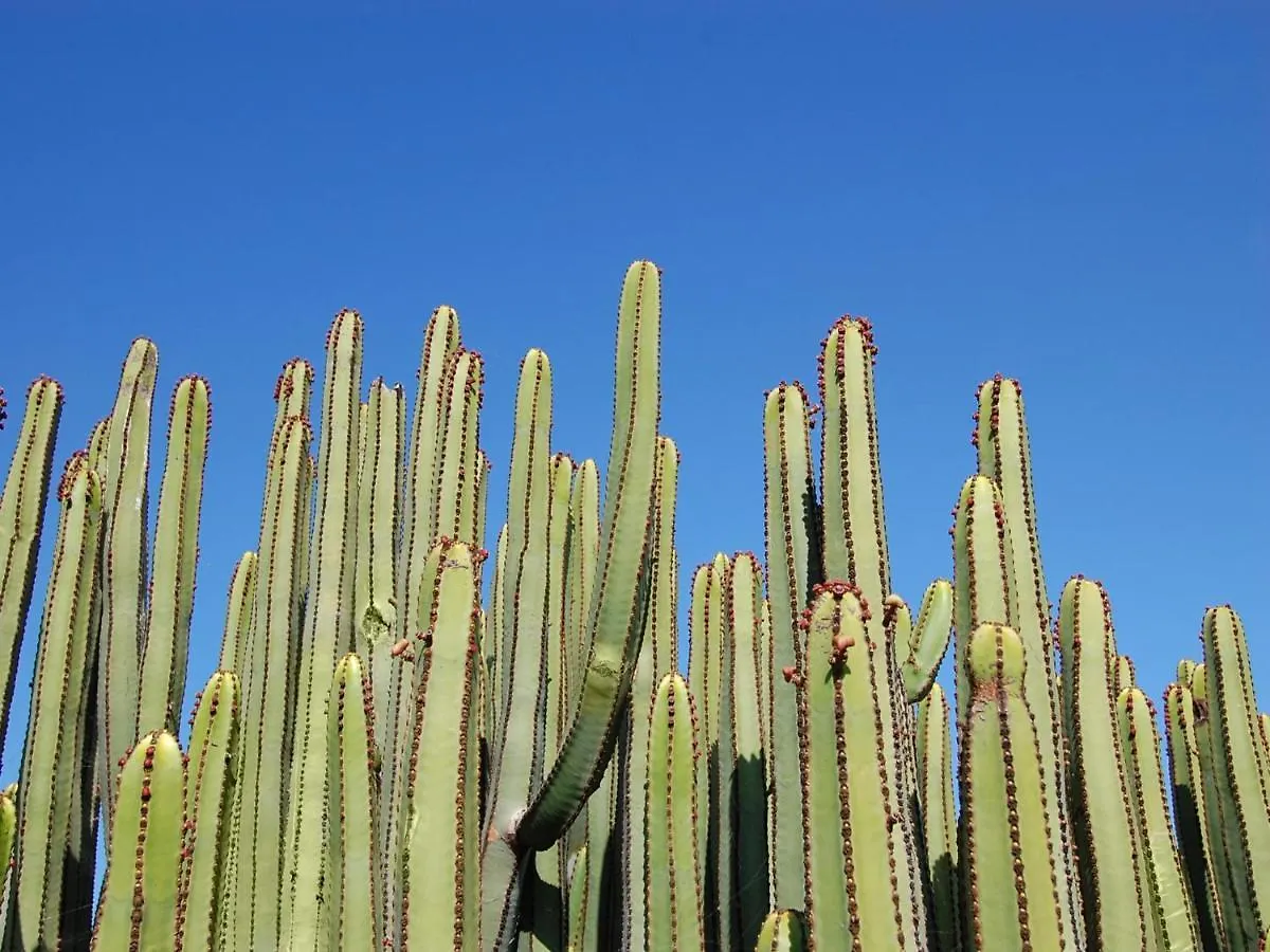Sunny Vista By Villagrancanaria Arguineguin